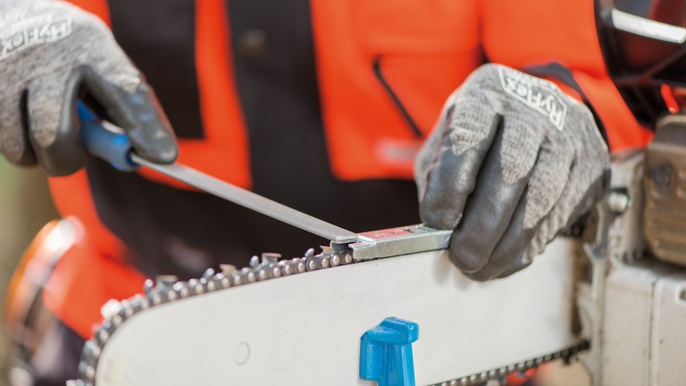 Sharpening the saw chain in 8 steps