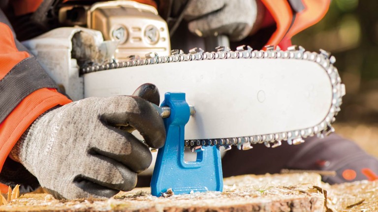 Sägekette: Die wichtigsten Grundlagen